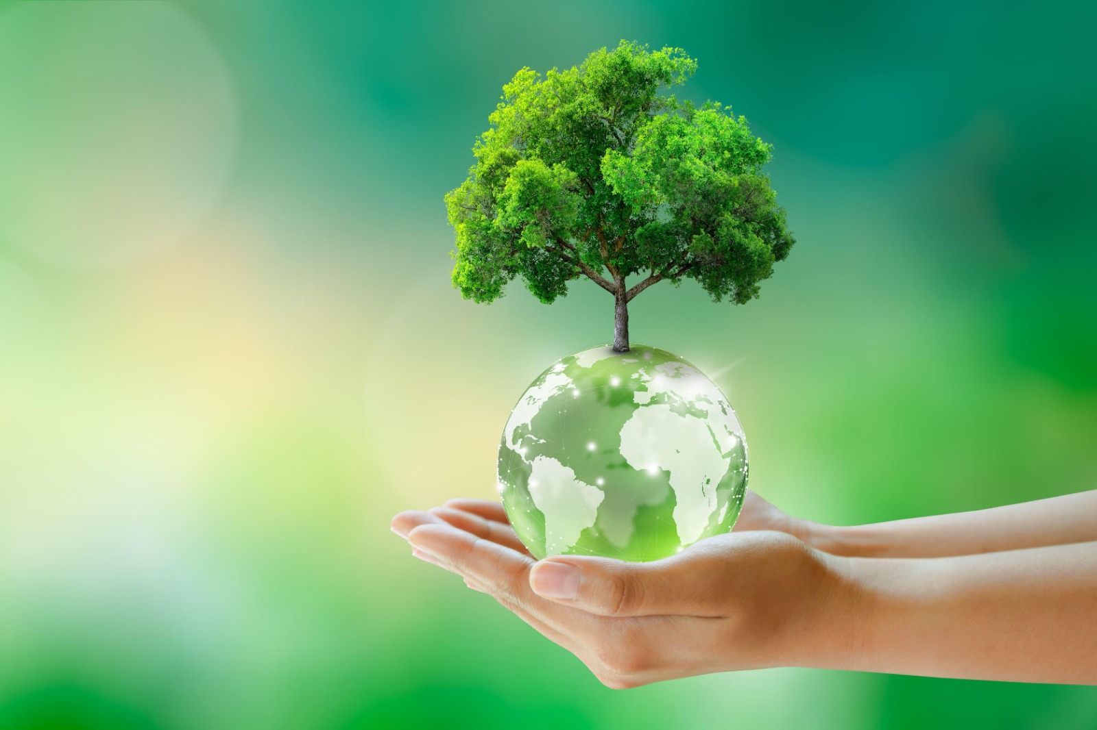 WhatsApp Image 2026-02-01 at 10.31.12