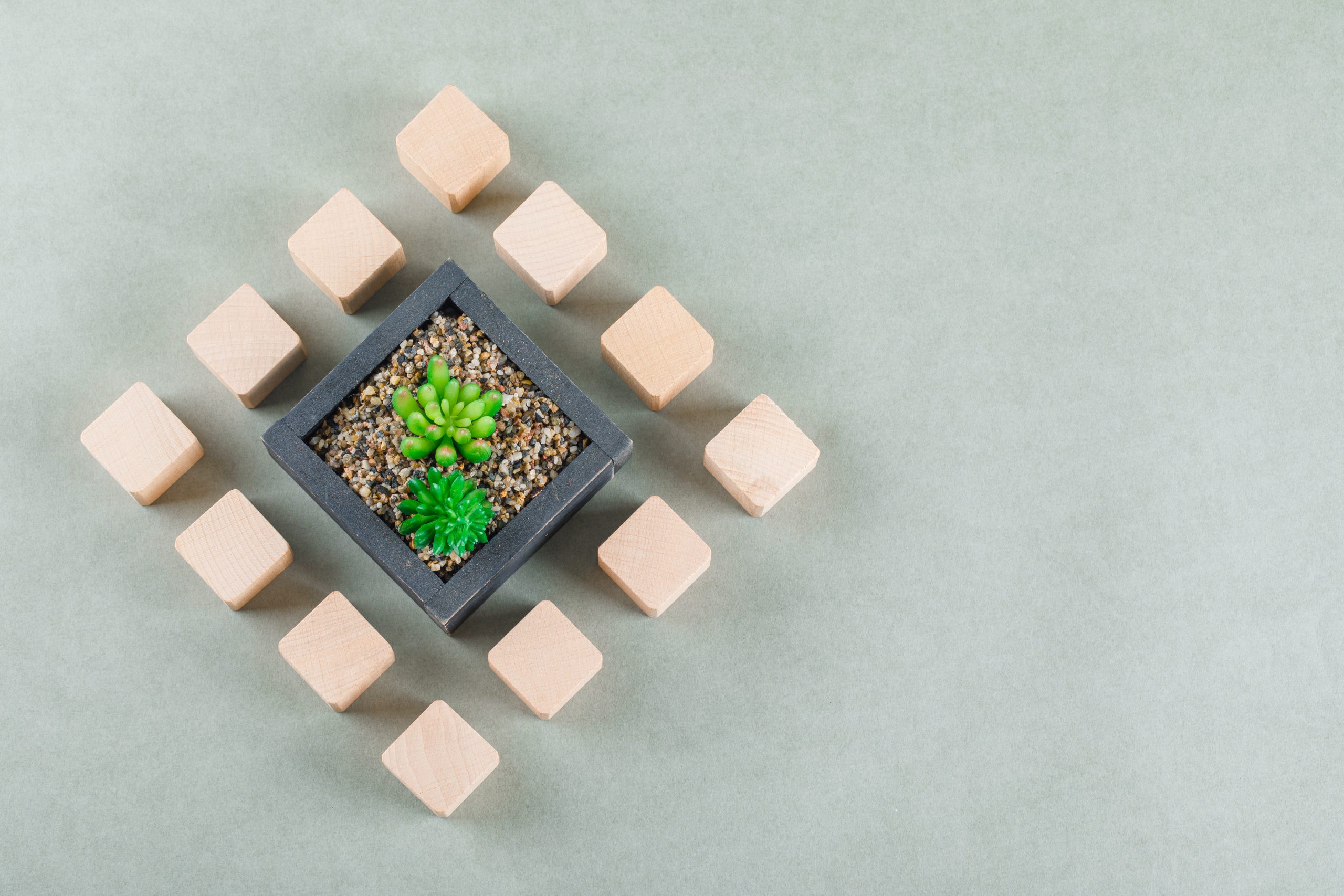 Business concept with wooden blocks, green plant on sage color background flat lay. space for text. horizontal image